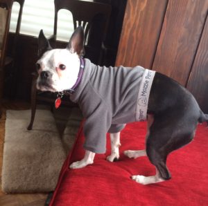 Nola staying warm and clean in fleece!
